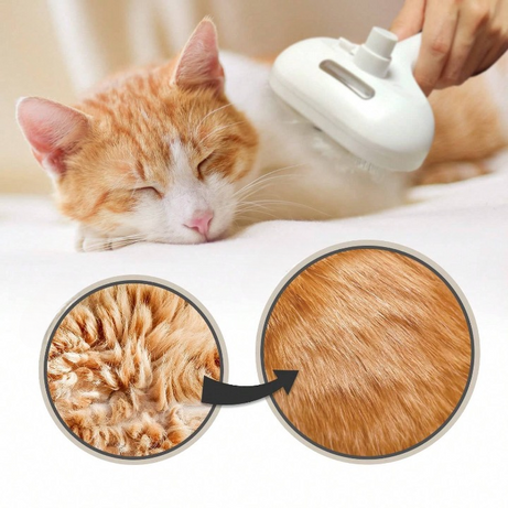 SPAZZOLA A VAPORE PER ANIMALI