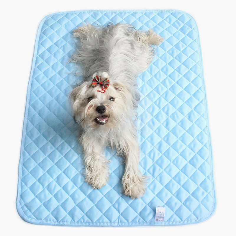 FrescoPet™ Tappeto estivo per Cani e Gatti