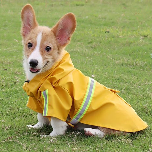 IMPERMEABILE IDROREPELLENTE PER CANI