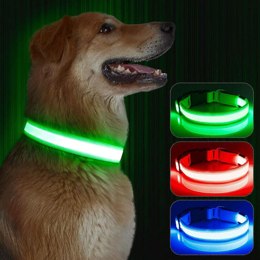 COLLARE LUMINOSO (LightPets)